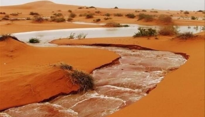 الأرصاد تتوقع أسبوعا ماطرا في عدة ولايات