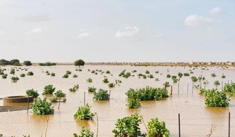 أمطار على قرى وتجمعات سكانية في ست ولايات (مقاييس)
